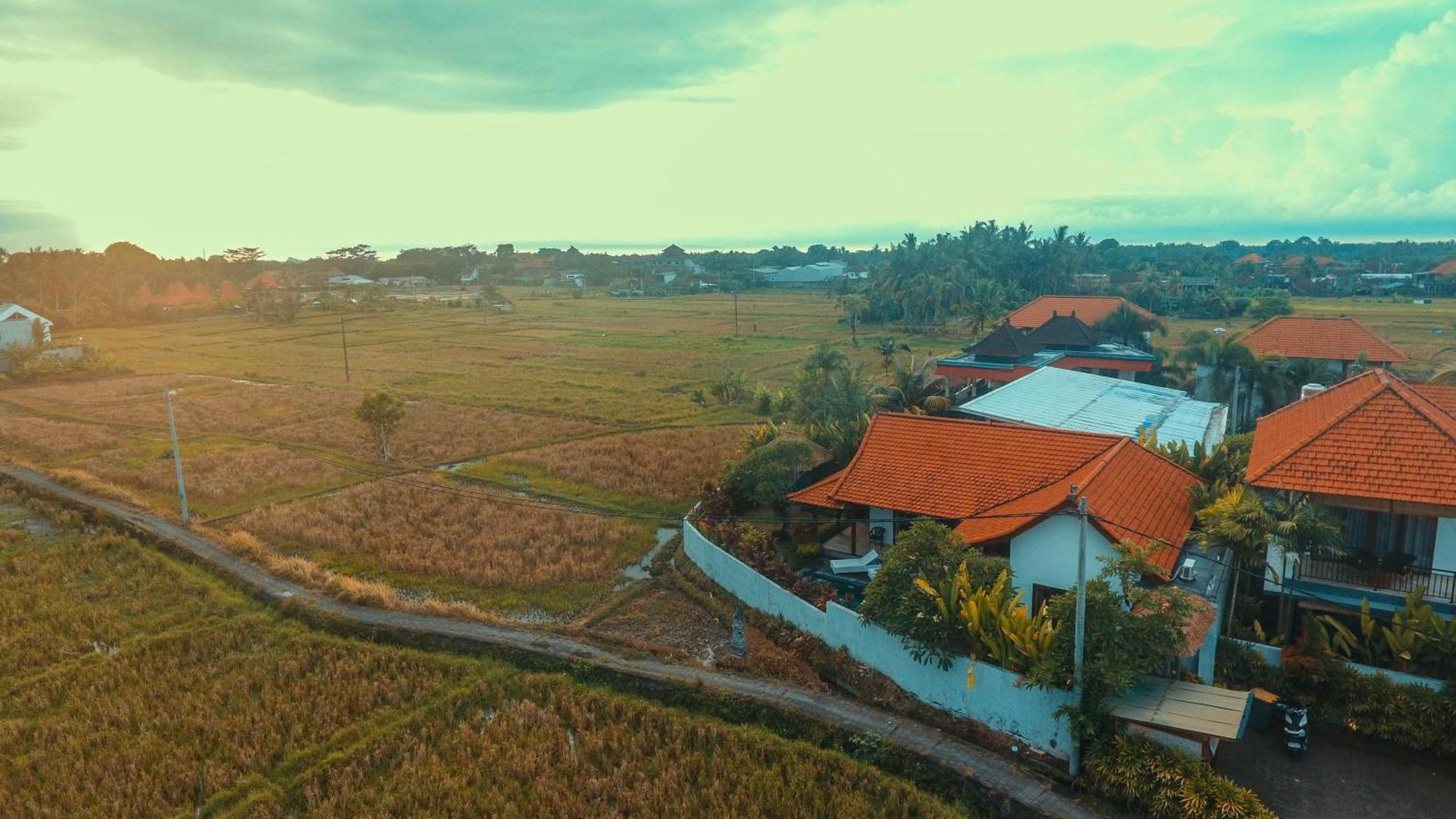 Villa Maya Ubud, Peaceful Rice Field View Zewnętrze zdjęcie