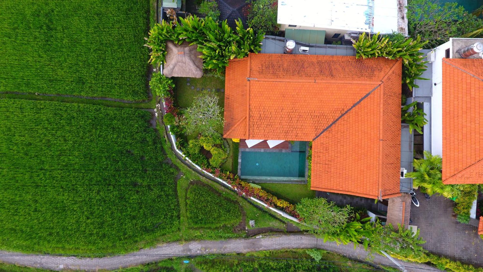 Villa Maya Ubud, Peaceful Rice Field View Zewnętrze zdjęcie