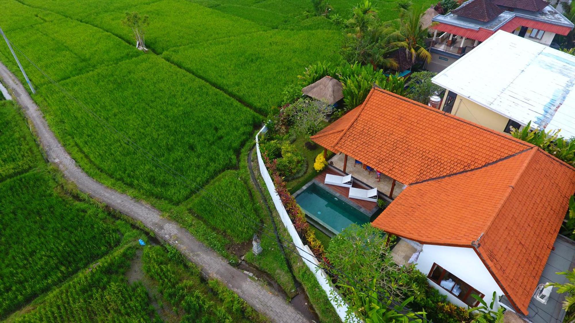 Villa Maya Ubud, Peaceful Rice Field View Zewnętrze zdjęcie