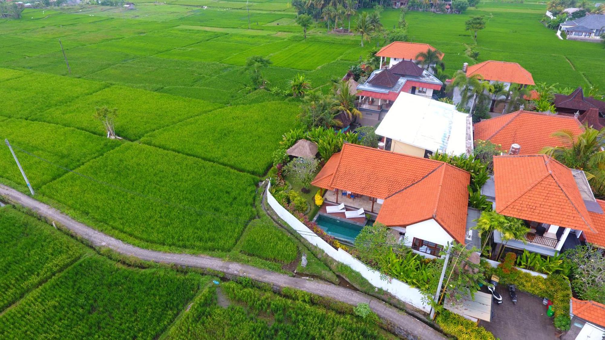 Villa Maya Ubud, Peaceful Rice Field View Zewnętrze zdjęcie